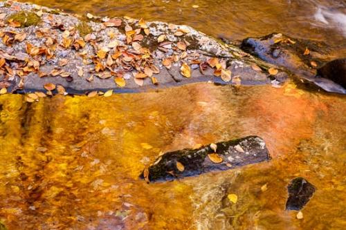 Abstract;Abstraction;Autumn;Botannicals;Brown;Fall;Fallen;Fallen Leaves;Foliage;Gold;Leaf;Leaves;Line;Orange;Pattern;Plant;Red;Reflection;Reflections;Ripple;River;Rock;Rock Formations;Rocks;Shape;Stone;Stones;Stream;Tan;Texture;Wabi Sabi;Water;Yellow;botanical